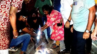 सड़कों पर निकलकर कलेक्टर मवेशियों को भेज रहीं सुरक्षित स्थान, सड़कों में मवेशियों से होने वाली दुर्घटनाओं पर रोक लगाने की कवायद चौथा स्तंभ || Console Corptech