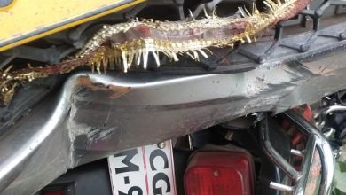 BIG BREAKING: तेज रफ्तार पिकअप ने बाइक सवार को मारी जोरदार टक्कर, दुर्घटना में पति-पत्नी की दर्दनाक मौत, छोटा बच्चा के पानी में बहने का हुआ हल्ला चौथा स्तंभ || Console Corptech