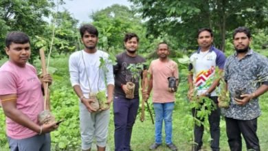 यूथ इंडिया क्लब अकलतरा ने एक पेड़ पूर्वजों के नाम अभियान चलाकर मुक्तिधाम में रोपे छायादार एवं फलदार पौधे चौथा स्तंभ || Kshititech