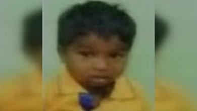 मौत बनकर टूट पड़ीं मधुमक्खियां: पांच साल के बच्चे पर झुंड ने किया हमला, कलेजे के टुकड़े को नहीं बचा पाई मां चौथा स्तंभ || Console Corptech