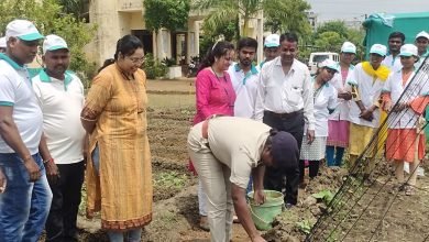 धमतरी के किसानों ने किसान स्कूल को भेंट किया मेंथलयुक्त लैंप, धरोहर में विलुप्त चीजों को सहेजने छत्तीसगढ़ के किसान आगे चौथा स्तंभ || Console Corptech