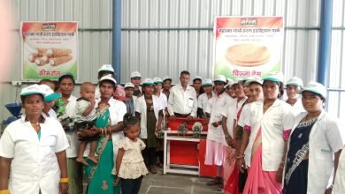 आरसेटी में महिलाएं सीख रहीं अचार, पापड़ और मसाला पावडर बनाना, प्रशिक्षण के आखिरी दिन असेसमेन्ट कल चौथा स्तंभ || Console Corptech