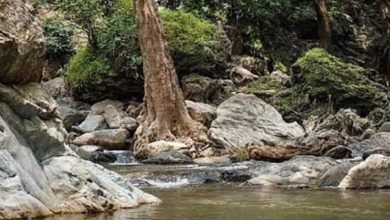 वाटरफॉल में नहाने गए दो युवकों की डूबने से हुई मौत, दोस्तों के साथ आए थे घूमने चौथा स्तंभ || Kshititech