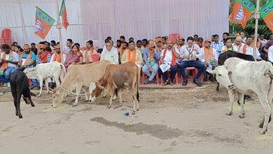 गौमाता को एसडीएम कार्यालय जांजगीर में बांधने के प्रयास में हुई झूमाझटकी, कांग्रेस सरकार के खिलाफ भाजपा का अनूठा प्रदर्शन चौथा स्तंभ || Console Corptech