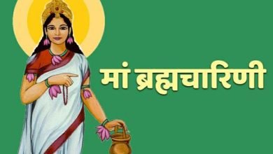 नवरात्रि विशेष: ज्ञान, वैराग्य और तपस्या की देवी है मां ब्रह्मचारिणी, नौ शक्तियों के दूसरे स्वरूप मां ब्रह्मचारिणी के दर्शन पूजन का विधान चौथा स्तंभ || Console Corptech