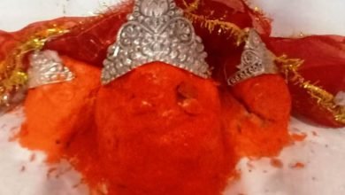 मौलीदाई के दरबार से खाली हाथ नहीं लौटते भक्त, मौलीदाई मंदिर में प्रज्जवलित होंगे मनोकामना दीप चौथा स्तंभ || Console Corptech