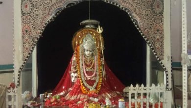 नवरात्रि विशेषः सबकी मुराद पूरी करती है मां मनका दाई, खोखरा में विराजी माता के दरबार में लगा भक्तों का तांता चौथा स्तंभ || Console Corptech