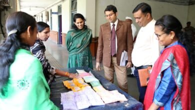 हर्बल गुलाल खरीदकर कलेक्टर कार्तिकेय गोयल ने महिलाओं का किया उत्साहवर्धन चौथा स्तंभ || Console Corptech