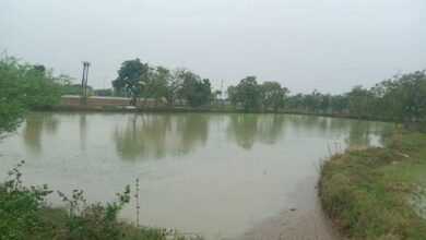 फोरलेन सड़क निर्माण की मिट्टी से पानी निकासी अवरुद्ध, खेतो में भर जाता है पानी,  दो वर्षों से नही हो पाई है प्रभावित क्षेत्रों में फसल चौथा स्तंभ || Console Corptech