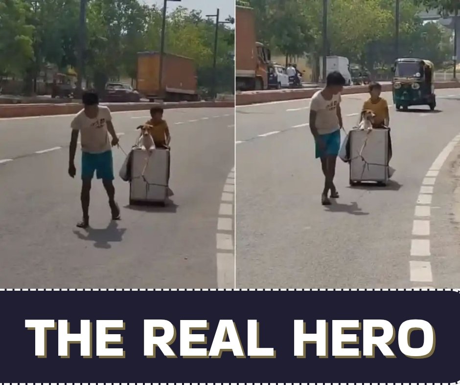 घायल कुत्ते को अस्पताल ले जाते दो बच्चों का वीडियो हुआ वायरल, लोगों ने कहा – "ये हैं असली हीरो" 1 घायल कुत्ते को अस्पताल ले जाते दो बच्चों का वीडियो हुआ वायरल, लोगों ने कहा – "ये हैं असली हीरो" चौथा स्तंभ || Console Corptech