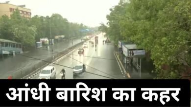 आंधी बारिश ने बरपाया कहर, पेड़ गिरने से महिला सहित चार लोगों की गई जान, देखिए कहां हुई दुखद घटना चौथा स्तंभ || Console Corptech