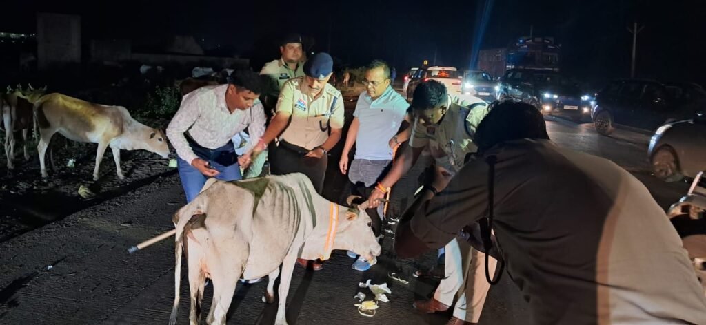 सड़क पर मवेशी छोड़ने वालों पर अब होगी सख्त कार्रवाई, जुर्माना और FIR की तैयारी 2 सड़क पर मवेशी छोड़ने वालों पर अब होगी सख्त कार्रवाई, जुर्माना और FIR की तैयारी चौथा स्तंभ || Console Corptech