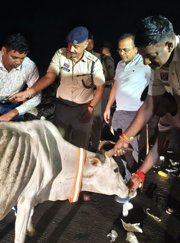 सड़क पर मवेशी छोड़ने वालों पर अब होगी सख्त कार्रवाई, जुर्माना और FIR की तैयारी 3 सड़क पर मवेशी छोड़ने वालों पर अब होगी सख्त कार्रवाई, जुर्माना और FIR की तैयारी चौथा स्तंभ || Console Corptech