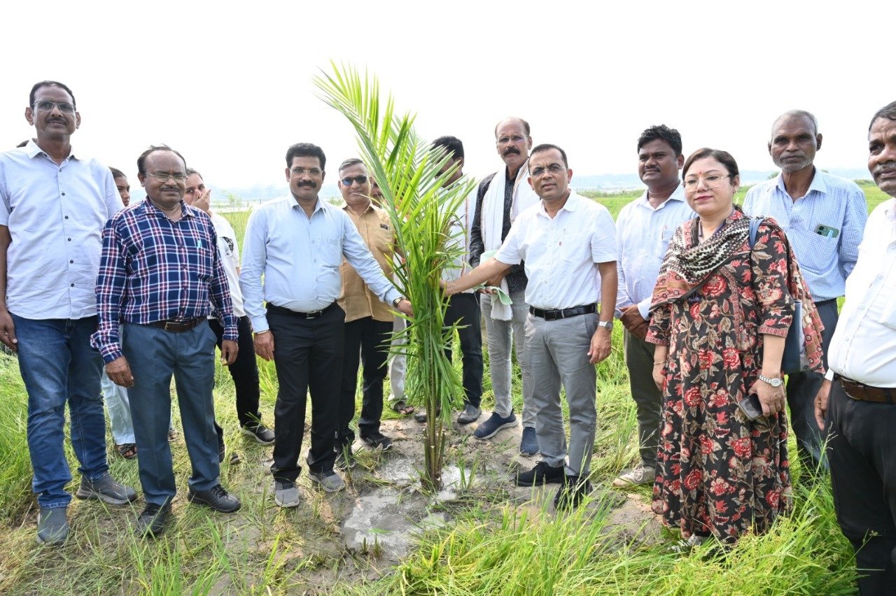 कलेक्टर जन्मेजय महोबे पहुँचे ऑयल पाम के खेत में, किसानों से चर्चा कर किया प्रेरित 1 कलेक्टर जन्मेजय महोबे पहुँचे ऑयल पाम के खेत में, किसानों से चर्चा कर किया प्रेरित चौथा स्तंभ || Console Corptech
