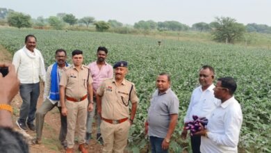 पामगढ़ क्षेत्र का कमरीद गांव शराब मुक्ति की ओर,  सबरिया समाज ने छोड़ी शराब बनाने की परंपरा, अपनाया स्वरोजगार और खेती चौथा स्तंभ || Console Corptech