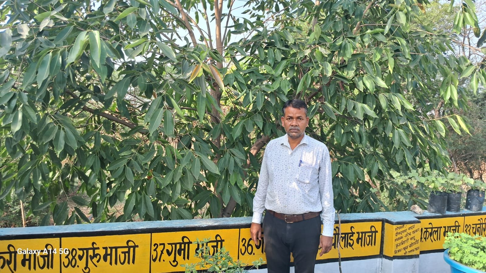 बहेराडीह के युवा कृषक दीनदयाल यादव को भारत में जामुन का मिला पेटेंट, 18 साल बाद पौधा किस्म और कृषक अधिकार संरक्षण प्राधिकरण से कराना होगा रिन्युअल 1 बहेराडीह के युवा कृषक दीनदयाल यादव को भारत में जामुन का मिला पेटेंट, 18 साल बाद पौधा किस्म और कृषक अधिकार संरक्षण प्राधिकरण से कराना होगा रिन्युअल चौथा स्तंभ || Console Corptech