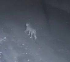 मदनपुरगढ़ में तेंदुए का आतंक! गांव के एक कुत्ते पर तेंदुए ने किया हमला 1 मदनपुरगढ़ में तेंदुए का आतंक! गांव के एक कुत्ते पर तेंदुए ने किया हमला चौथा स्तंभ || Console Corptech