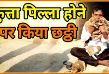 अनोखा मामला: कुत्ते का पिल्ला होने पर कराया छट्ठी उत्सव और पूरे मोहल्ले को किया आमंत्रित चौथा स्तंभ || Console Corptech