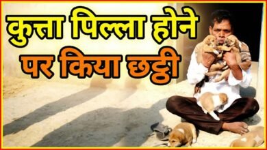 अनोखा मामला: कुत्ते का पिल्ला होने पर कराया छट्ठी उत्सव और पूरे मोहल्ले को किया आमंत्रित चौथा स्तंभ || Console Corptech