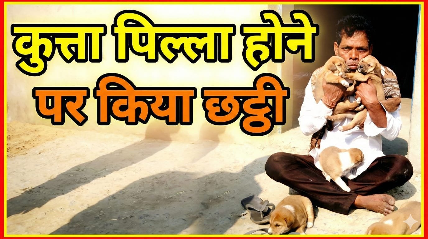 अनोखा मामला: कुत्ते का पिल्ला होने पर कराया छट्ठी उत्सव और पूरे मोहल्ले को किया आमंत्रित 1 अनोखा मामला: कुत्ते का पिल्ला होने पर कराया छट्ठी उत्सव और पूरे मोहल्ले को किया आमंत्रित चौथा स्तंभ || Console Corptech