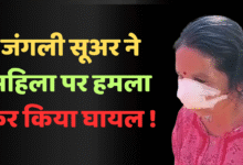 डोंगाकोहरौद में महिला पर जंगली सूअर का हमला, चेहरे पर गंभीर चोटें, ग्रामीणों में दहशत फैल गई चौथा स्तंभ || Console Corptech