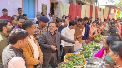 किसान स्कूल में राज्य स्तरीय भाजी महोत्सव आयोजित, भाजी दीदियों का हुआ सम्मान, कलेक्टर, एसपी और जनप्रतिनिधि हुए शामिल चौथा स्तंभ || Console Corptech