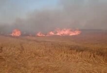 फिर सामने आई पराली जलाने की घटना, खड़ी फसल हो गया तबाह, किसान ने की शिकायत चौथा स्तंभ || Console Corptech