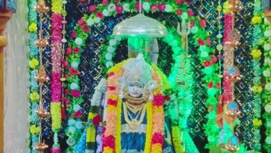 मन की मुराद पूरी करने वाली मां मानकादाई, खोखरा गांव में नवरात्रि पर उमड़ती है आस्था की भीड़ चौथा स्तंभ || Console Corptech