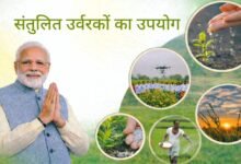 संतुलित उर्वरकों का उपयोग करें किसान भाई चौथा स्तंभ || Console Corptech