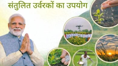 संतुलित उर्वरकों का उपयोग करें किसान भाई 7 संतुलित उर्वरकों का उपयोग करें किसान भाई चौथा स्तंभ || Console Corptech