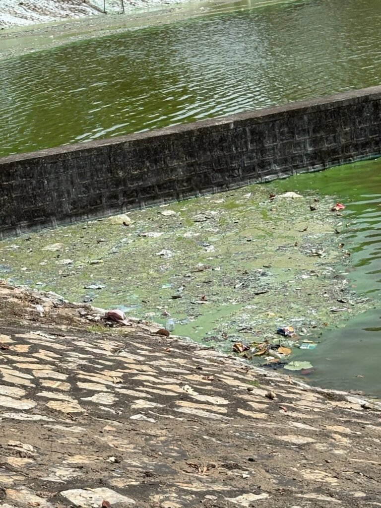 विधायक की फटकार के बाद जागा नगर प्रशासन, भीमा तालाब में शुरू हुई सफाई चौथा स्तंभ || Kshititech
