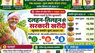 किसानों के लिए जरूरी खबर: 31 अक्टूबर तक कराएं पंजीयन, पीएम आशा योजना के तहत मिलेगी उपज की समर्थन मूल्य पर खरीदी की सुविधा चौथा स्तंभ || Kshititech